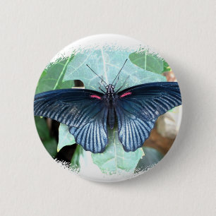 Großer Mormone-Tropischer Schmetterling Button