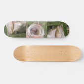 Großer Mund-Baß Skateboard (Horizontal)