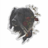 Großer Munsterlander mit Fasan Aufkleber (Vorderseite)