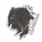 Großer Munsterlander mit Fasan Aufkleber (Vorderseite)