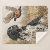 Großer Münsterländer mit Fasan Sherpadecke (Vorderseite (Horizontal))