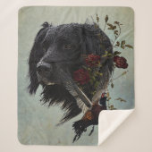 Großer Munsterlander mit Fasan Sherpadecke (Vorderseite)