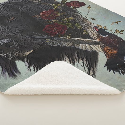 Großer Munsterlander mit Fasan Sherpadecke (3/4)