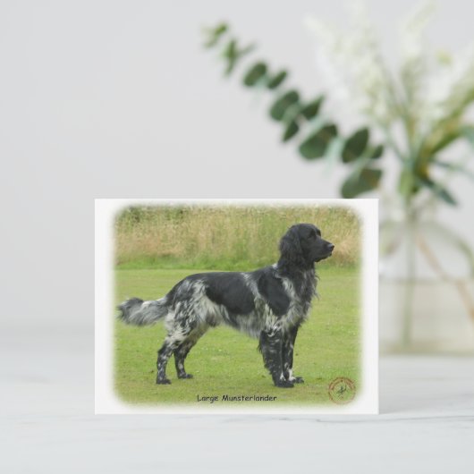 Großer Munsterlander Postkarte (Stehend Vorderseite)