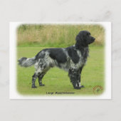 Großer Munsterlander Postkarte (Vorderseite)