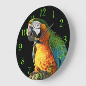 Grosser orangefarbener und Aquamariner Papagei auf Große Wanduhr (Winkel)