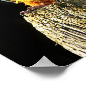 Grosser orangefarbener und Aquamariner Papagei auf Poster (Ecke)