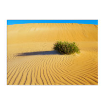 GROSSER OZEAN DUNES 10x14