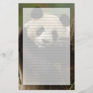 Großer Panda Ailuropoda melanoleuca) Familie Briefpapier