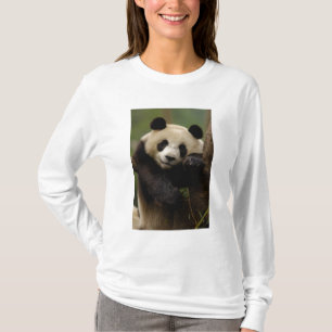 Großer Panda Ailuropoda melanoleuca) Familie T-Shirt