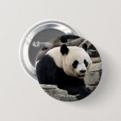 Großer Panda auf Felsen Button (Vorne & Hinten)