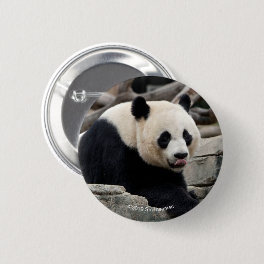 Großer Panda auf Felsen Button (Vorne & Hinten)