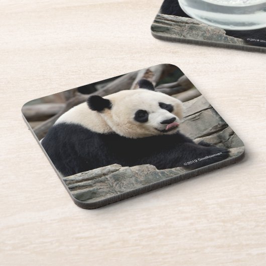 Großer Panda auf Felsen Getränkeuntersetzer (Linke Seite)