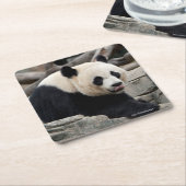Großer Panda auf Felsen Rechteckiger Pappuntersetzer (angewinkelt)
