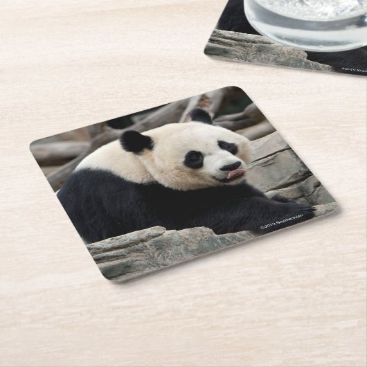Großer Panda auf Felsen Rechteckiger Pappuntersetzer (angewinkelt)