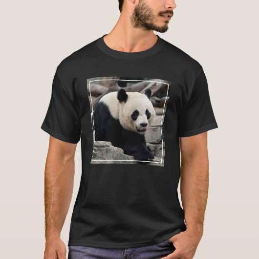 Großer Panda auf Felsen T-Shirt (Vorderseite)