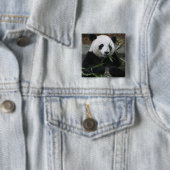 Großer Panda Button (Beispiel)