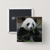 Großer Panda Button (Vorne & Hinten)