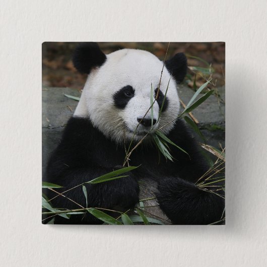 Großer Panda Button (Vorderseite)