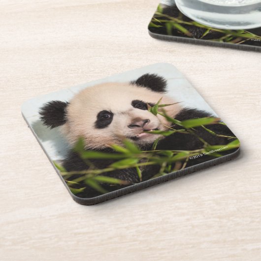 Großer Panda, der an der Wand sich lehnt Getränkeuntersetzer (Linke Seite)