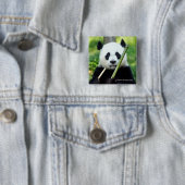 Großer Panda, der Bambus hält Button (Beispiel)