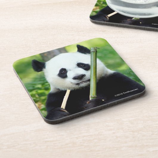 Großer Panda, der Bambus hält Getränkeuntersetzer (Linke Seite)