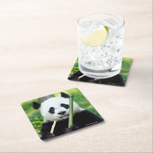 Großer Panda, der Bambus hält Rechteckiger Pappuntersetzer (Vor Ort)