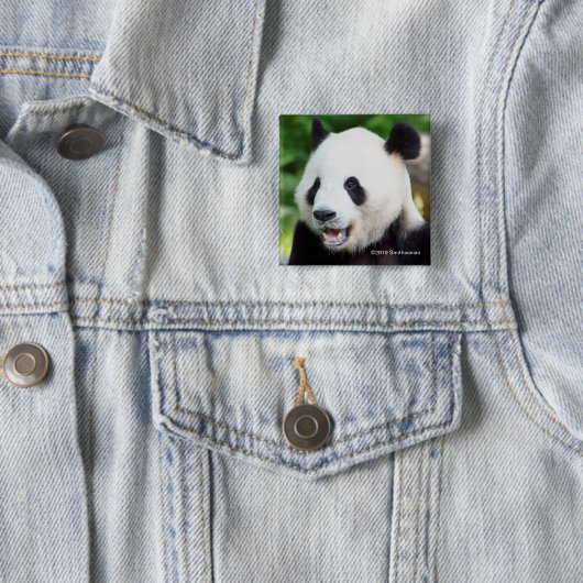 Großer Panda, der Bambus isst Button (Beispiel)