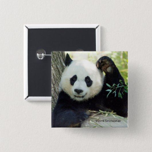 Großer Panda, der gegen Baum stillsteht Button (Vorne & Hinten)