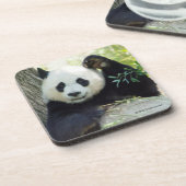 Großer Panda, der gegen Baum stillsteht Getränkeuntersetzer (Linke Seite)