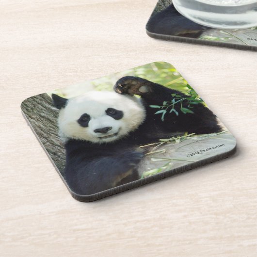 Großer Panda, der gegen Baum stillsteht Getränkeuntersetzer (Linke Seite)