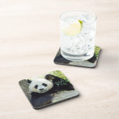 Großer Panda, der gegen Baum stillsteht Getränkeuntersetzer (Rechte Seite)