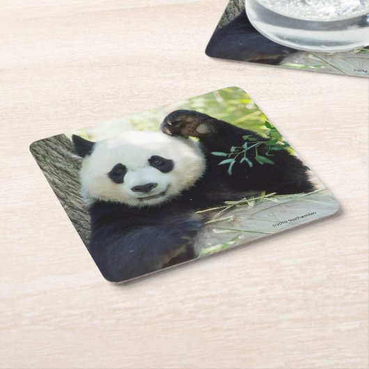 Großer Panda, der gegen Baum stillsteht Rechteckiger Pappuntersetzer (angewinkelt)