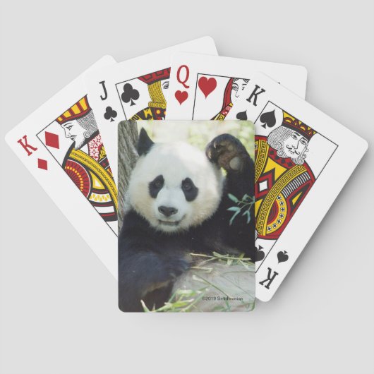 Großer Panda, der gegen Baum stillsteht Spielkarten (Rückseite)