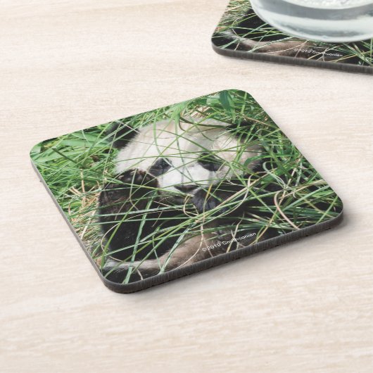 Großer Panda, der im Gras sich versteckt Getränkeuntersetzer (Linke Seite)