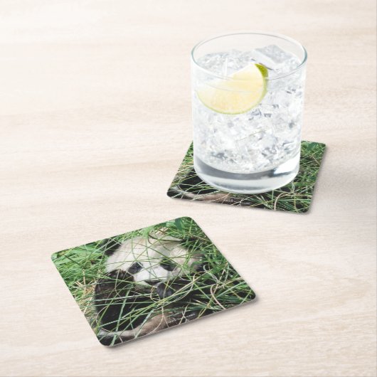 Großer Panda, der im Gras sich versteckt Rechteckiger Pappuntersetzer (Vor Ort)