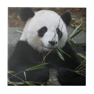 Großer Panda Fliese