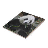 Großer Panda Fliese (Seite)