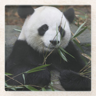 Großer Panda Glasuntersetzer