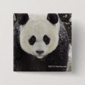 Großer Panda im Schnee Button (Vorderseite)