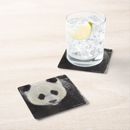 Großer Panda im Schnee Rechteckiger Pappuntersetzer (Vor Ort)