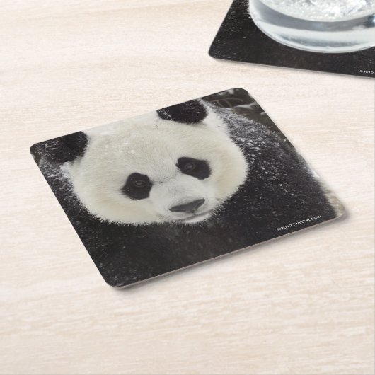 Großer Panda im Schnee Rechteckiger Pappuntersetzer (angewinkelt)