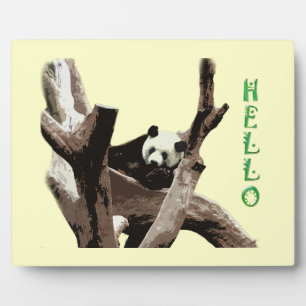Großer Panda in einer Wildtierzoo-Fotografie. Fotoplatte