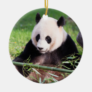 Großer Panda Mei Xiang Keramikornament
