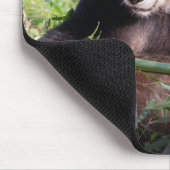 Großer Panda Mei Xiang Mousepad (Ecke)