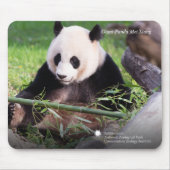 Großer Panda Mei Xiang Mousepad (Vorne)