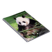 Großer Panda Mei Xiang Notizblock (Rechte Seite)