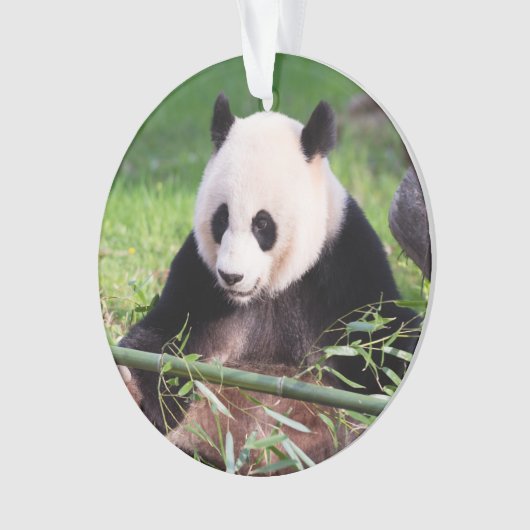 Großer Panda Mei Xiang Ornament (Vorderseite)