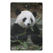 Großer Panda Mini Klemmbrett (Rückseite)