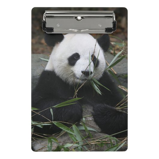 Großer Panda Mini Klemmbrett (Vorderseite)